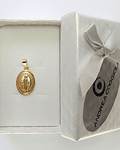 Colgante Medalla Virgen de los Rayos 14mm Enchapado Oro 18K