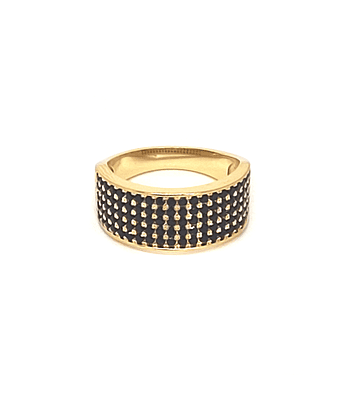 Anillo 5 Líneas Circón Negro Enchapado Oro 18K