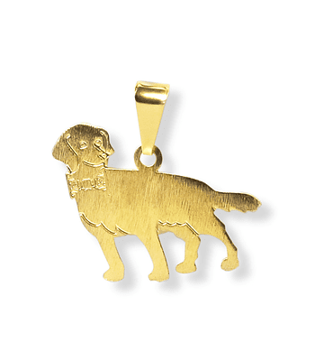 Colgante Perrito Labrador Enchapado Oro 18K 