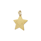 Colgante Estrella Plana Enchapado Oro 18K 2