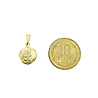 Colgante Medalla San Antonio 11mm Enchapado Oro 18K 5