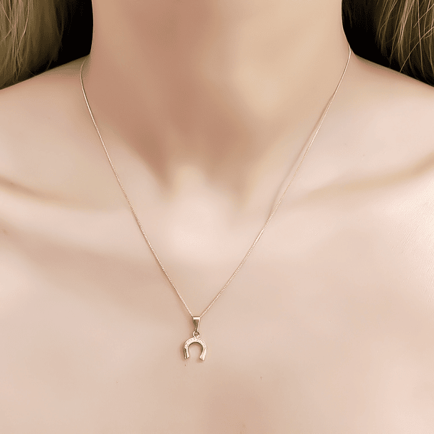 Collar Herradura Circón Veneciana Enchapado Oro 18K