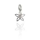 Colgante Flor 5 Pétalos Mini Plata Fina 925 1