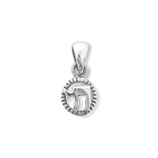 Colgante Jai Redondo Mini Plata Fina 925
