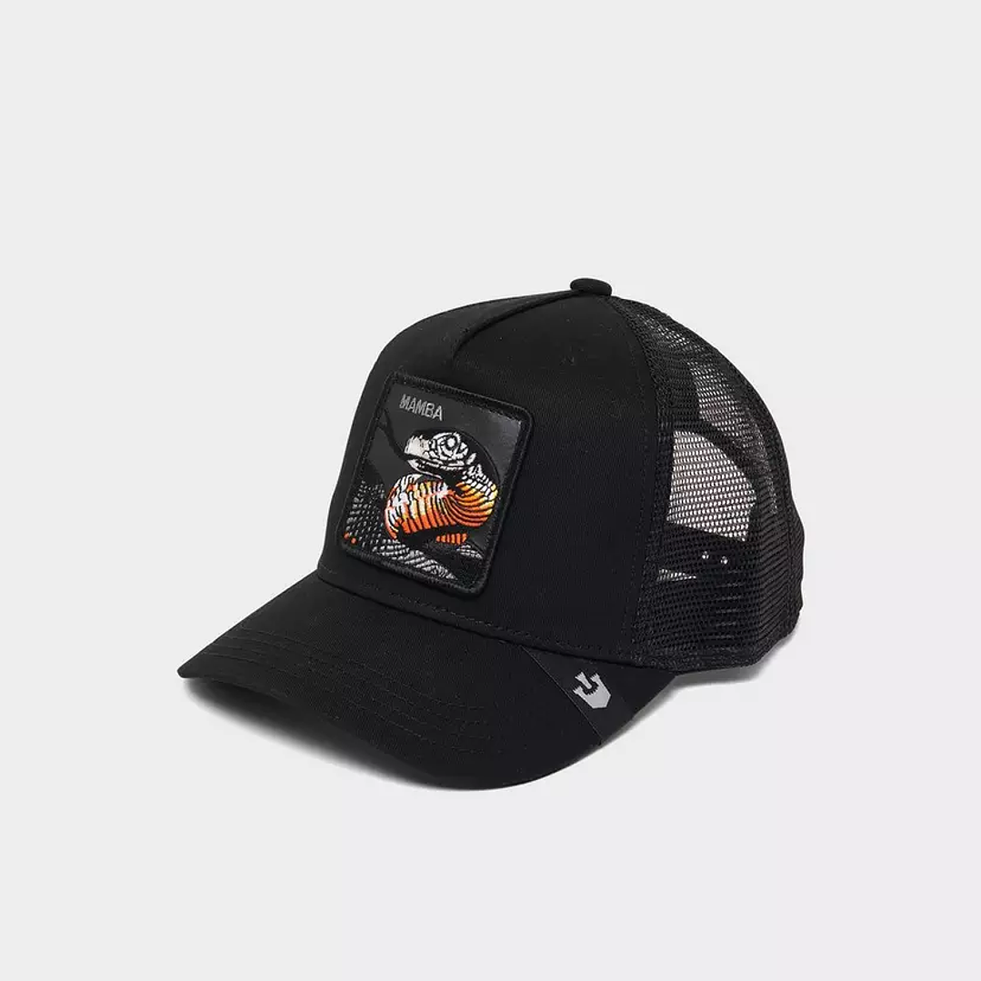 Gorra Goorin bross 1