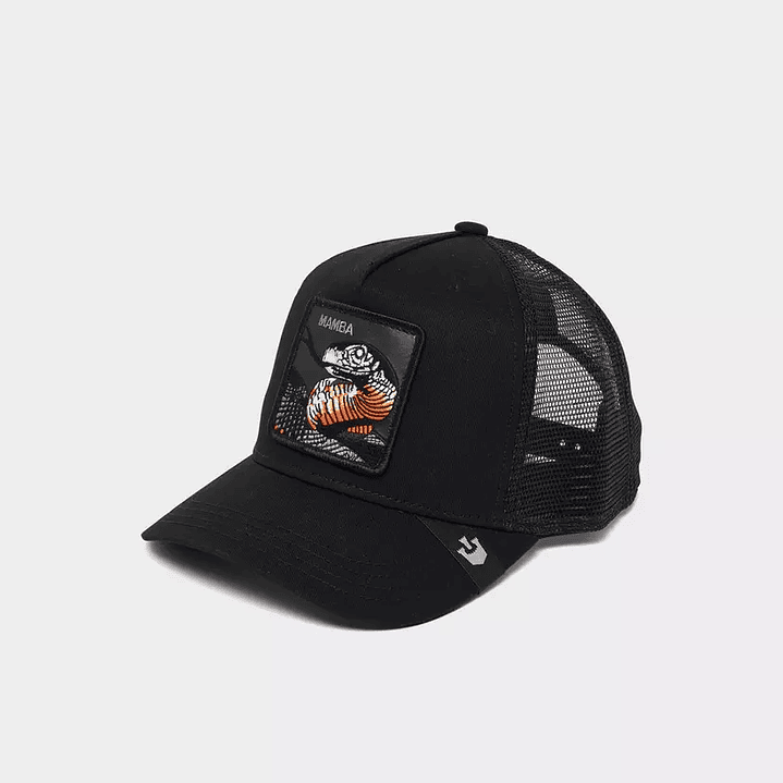 Gorra Goorin bross 1
