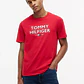 Camiseta Tommy Hilfiger  - Miniatura 1