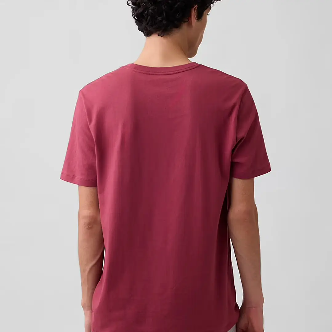 Camiseta Gap 2