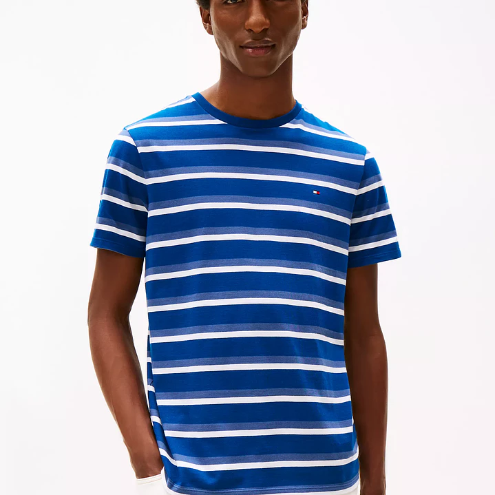 Camiseta Tommy Hilfiger  2
