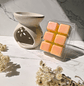 Kit Wax Melts + difusor - Miniatura 2