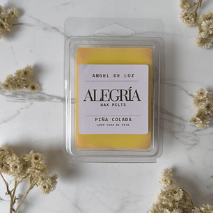 Wax Melts “Piña colada“