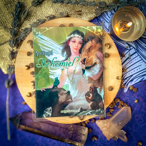 PLEGARIA Y SANTITO - Behemiel
