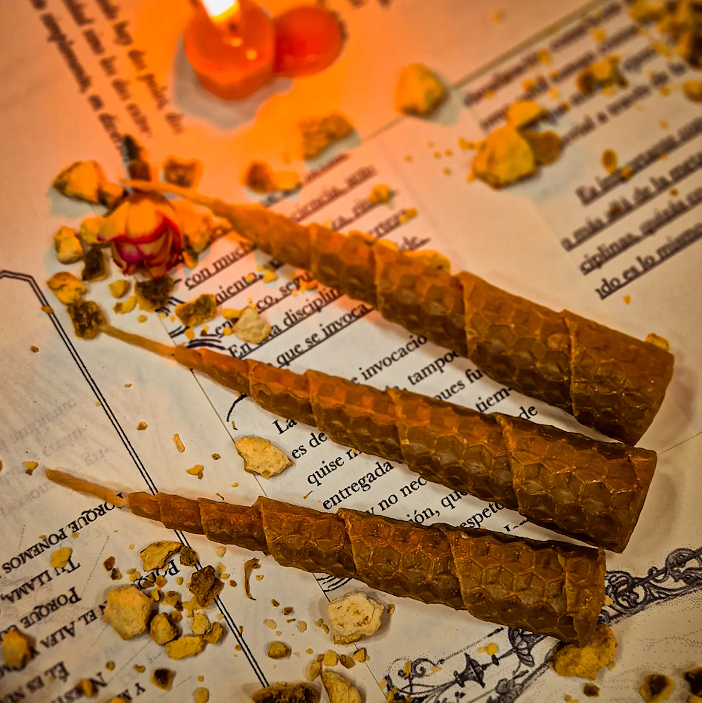 VELAS DE MIEL - MINI 2