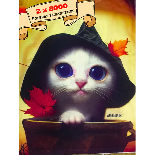 POLERAS ANGELORUM - GATITO