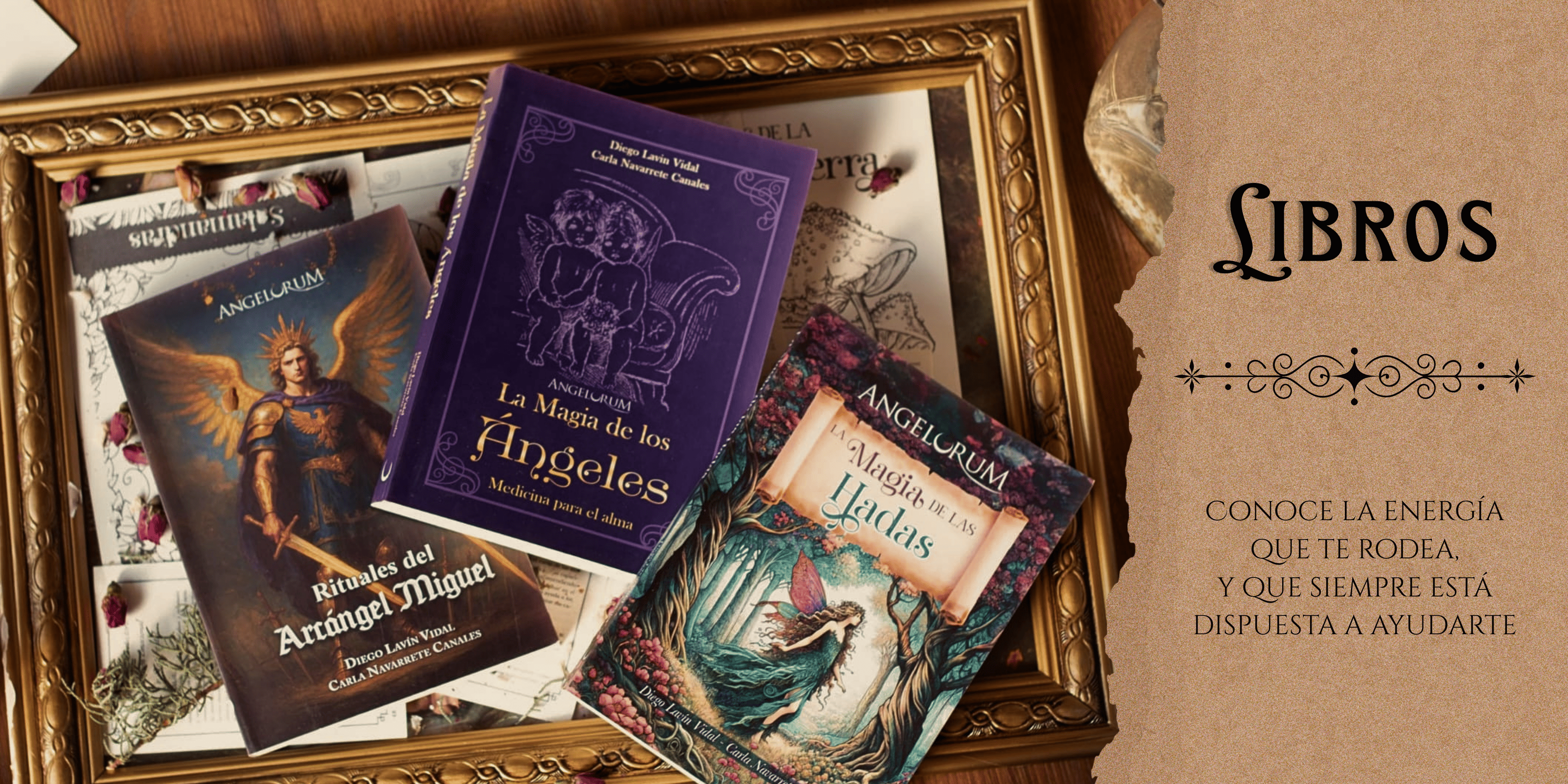 Libros