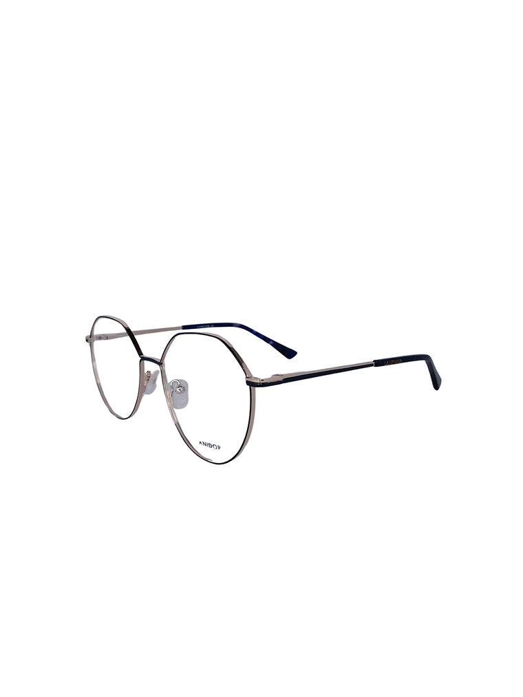 Armação LA 401 BLUE 2