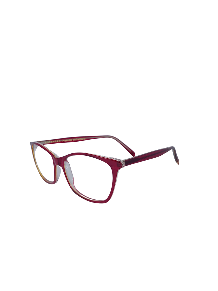 Armação AS GONDOMAR C09 2