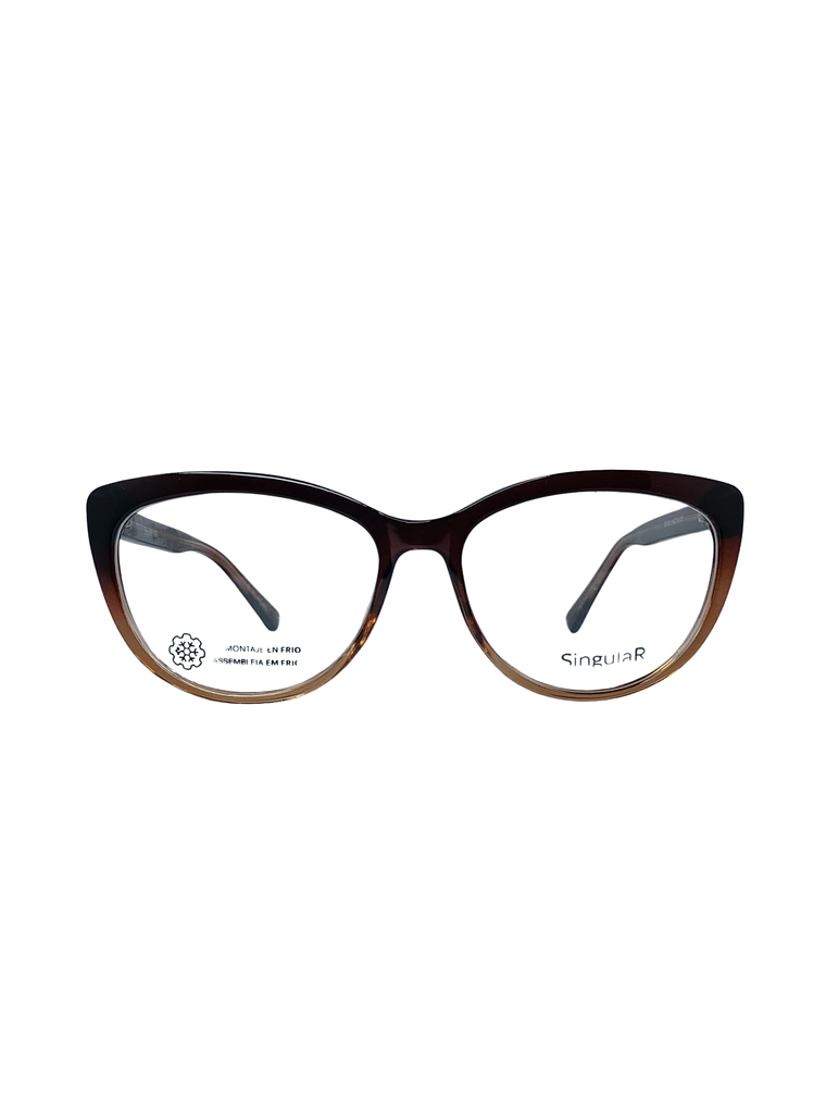 Armação S6 001 MARROM 1