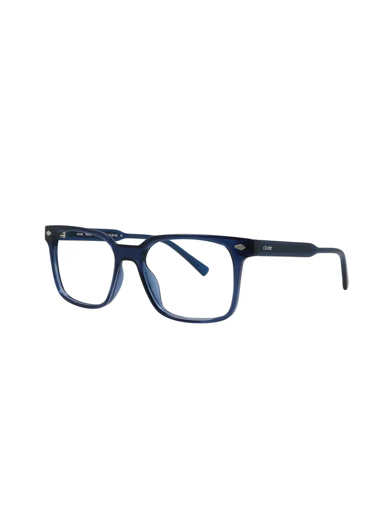 Armação ECO 41509 c/clip 2