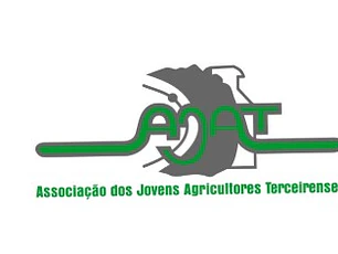 Ótica Angravisão