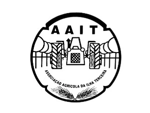 Ótica Angravisão