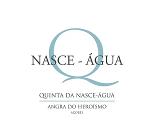 Ótica Angravisão
