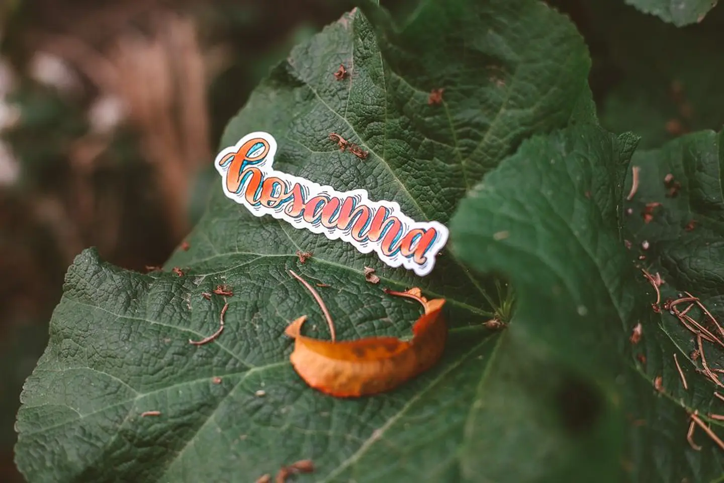 Letters Draw - Stickers 4