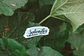 Letters Draw - Stickers - Miniatura 5