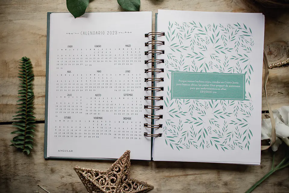Vida Nueva - Planner Anual 6