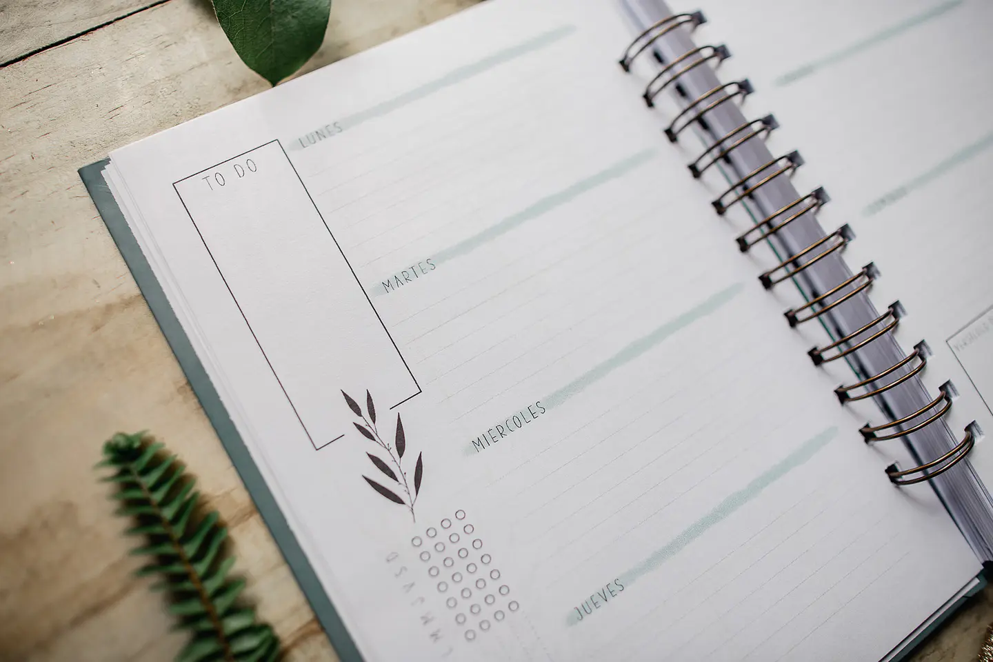 Vida Nueva - Planner Anual 9