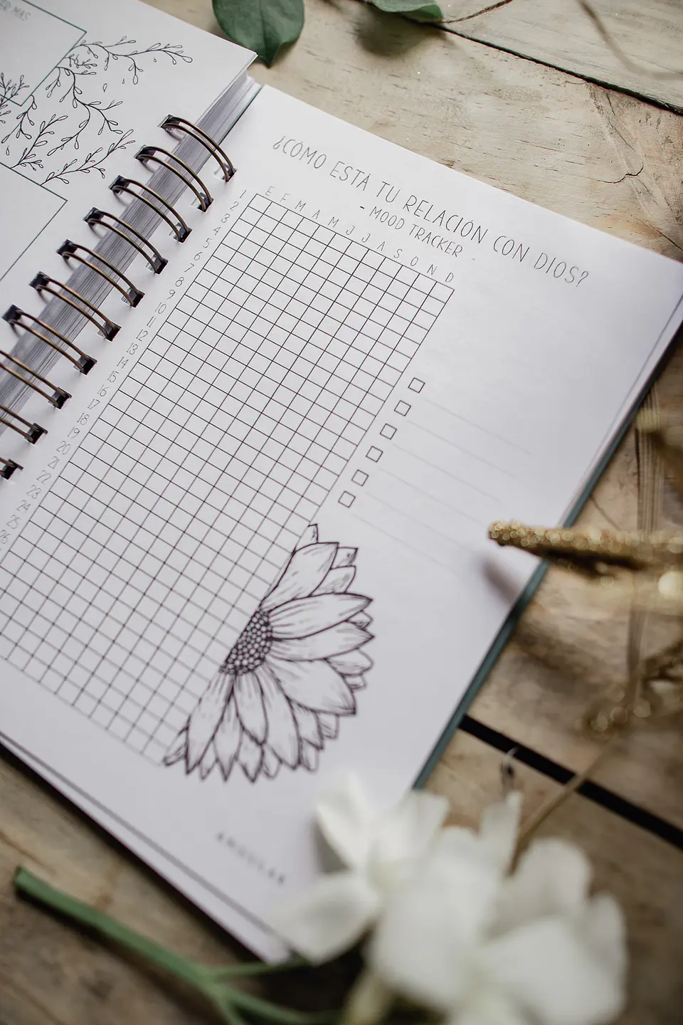 Vida Nueva - Planner Anual 12