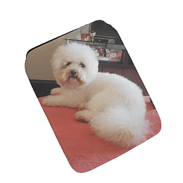 F19 Funda Tablet o Ipad personalizada con foto