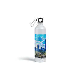 Botella metalica personalizada Santiago B56V4