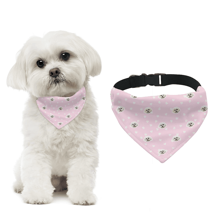 Bandana con corazones y cara de tu mascota BANDOG2 1