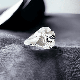 Colgante de Plata 925 con cristal Swarovski Wild Heart