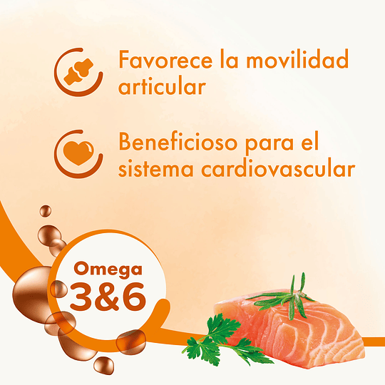 Aceite de Salmón Beaphar para perros y gatos