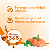 Aceite de Salmón Beaphar para perros y gatos