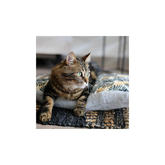 COLCHÓN ANTI-ESTRÉS LAVABLE XS 50X35 CM