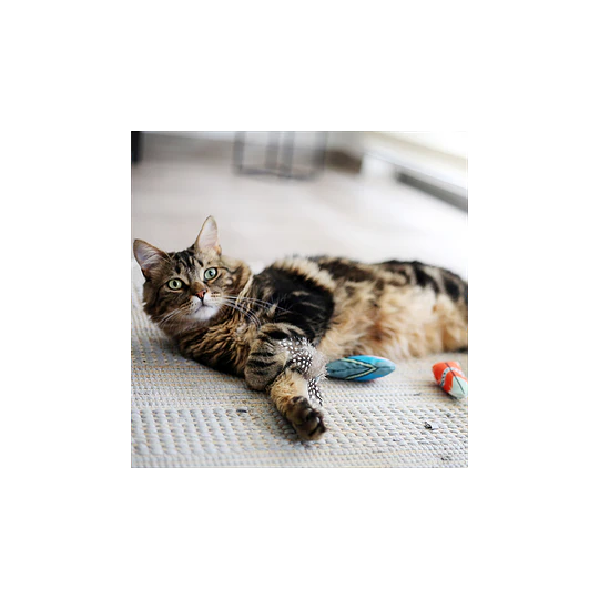 Juguete para gatos Maxi Pluma Boho