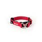 Collar DOBLE UP | EZYDOG | Color Rojo | Talla S - Miniatura 2