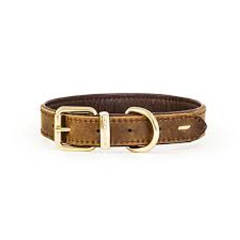 Collar de Cuero OXFORD | EZYDOG | Talla M