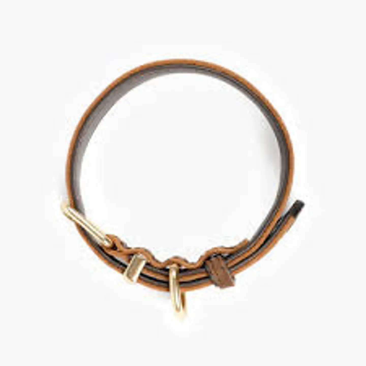 Collar de Cuero OXFORD | EZYDOG | Talla M 4