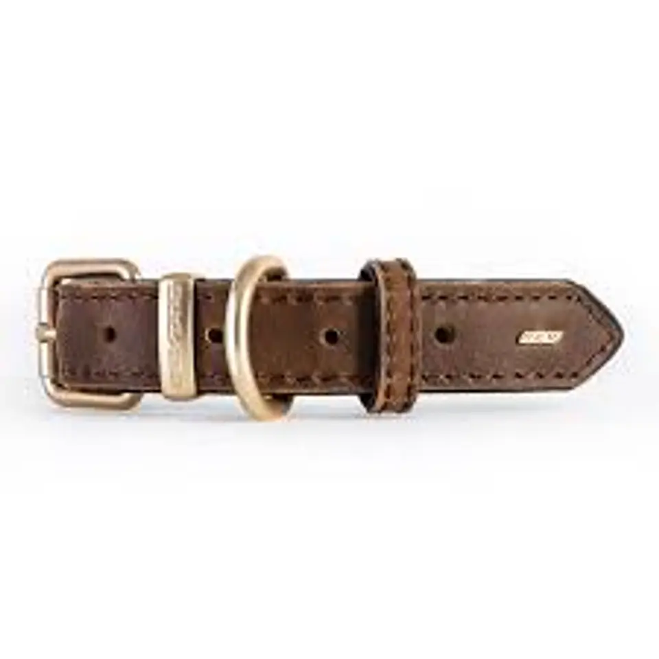 Collar de Cuero OXFORD | EZYDOG | Talla L 3