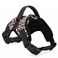 Arnes Animal Print para Perros | Talla L - Miniatura 1