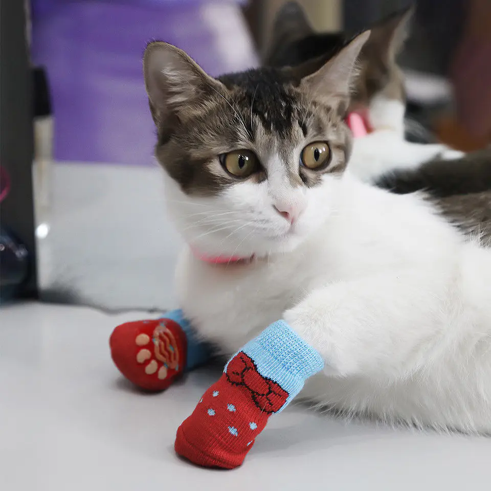 Calcetines para Gatos y Perros | Talla M Color Rojo-Celeste 1