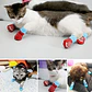 Calcetines para Gatos y Perros | Talla L Color Rosado-Rojo - Miniatura 7