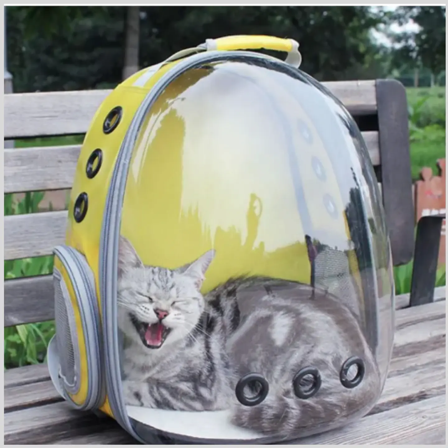 Mochila, Bolso para Traslado | Color Color Celeste | 30lts 2