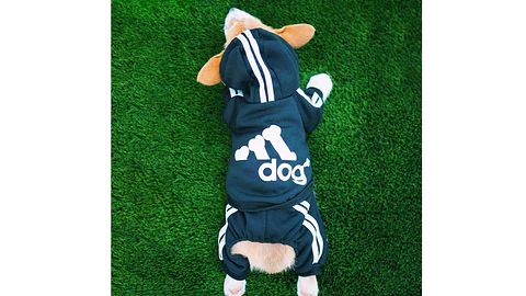 Buso diseño ADIDOG | color Negro | Talla L 
