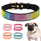 Collar Adiamantado Multicolor Talla L - Miniatura 3