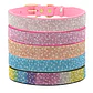 Collar Adiamantado Multicolor Talla L - Miniatura 2